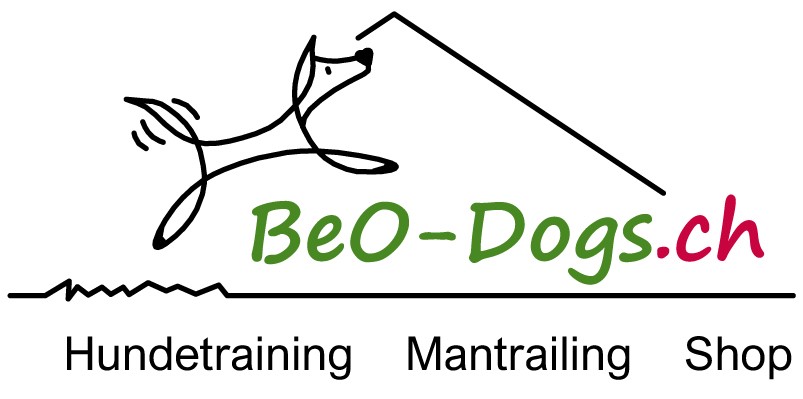 BeoDogs Hundetraining